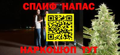 скорость Дубна