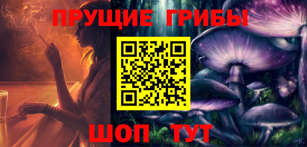 Кудрово  Псилоцибиновые грибы Psilocybe  Псилоцибиновые грибы Psilocybe  Вход с VPN 